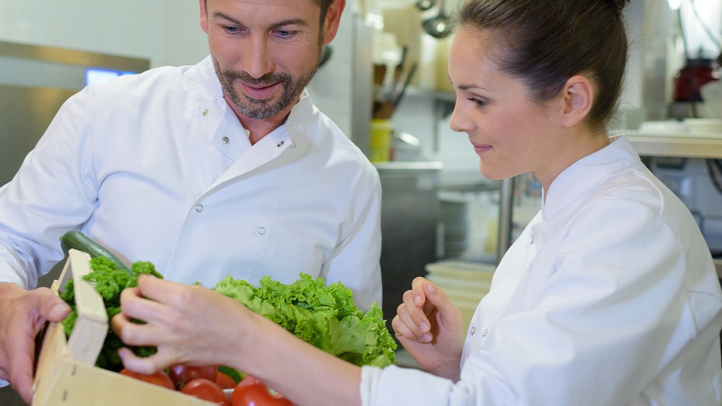 Deux chefs regardent la qualité des salades et tomates dans une cagette