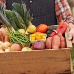 Cagot de différents légumes frais