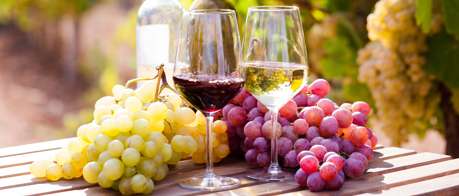 Verres de vins écologique sur une table avec des grappes de raisin